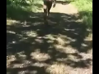 Nudist Hiking